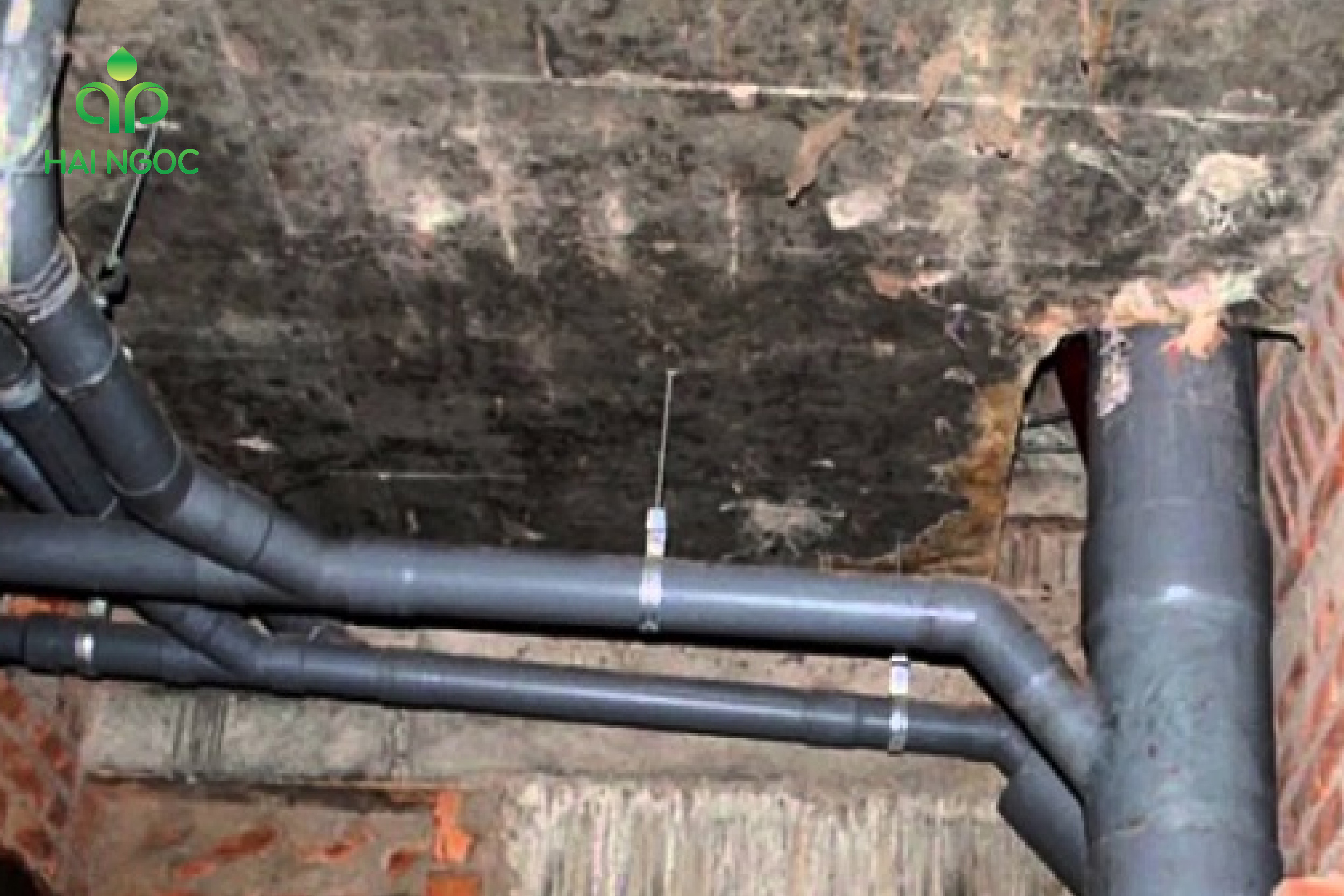 Cách chọn ống thoát nước đúng chuẩn & Địa chỉ mua ống nhựa Tiền Phong